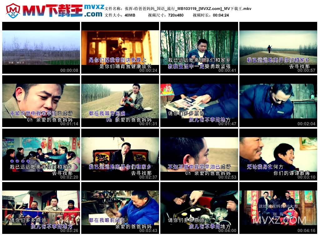 张挥-给爸爸妈妈_国语_流行_MB103119